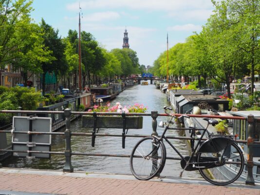 visit amsterdam tulips